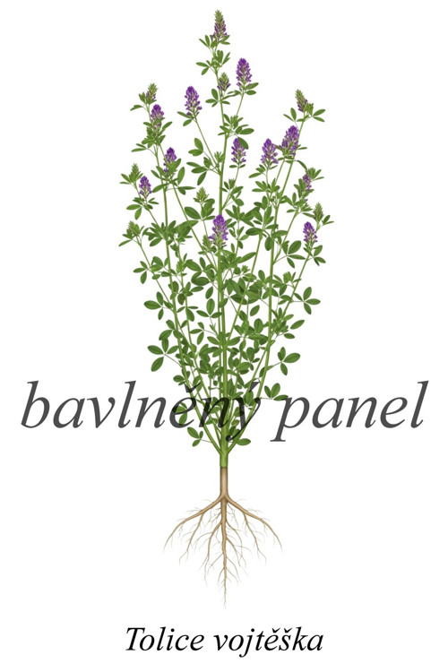 Bavlněný panel vojtěška — foto 1