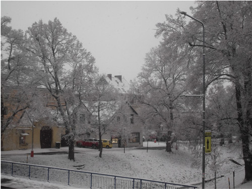 Pohled z okna 29.1.26. sněží ... Fotografie.