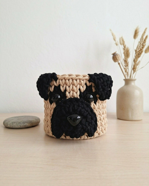 Mops — foto 1