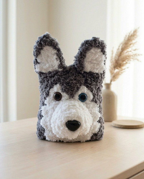 Sibiřský husky — foto 1