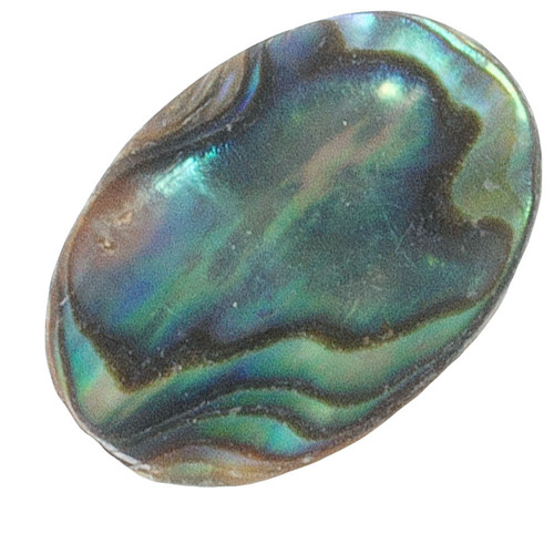 Paua mušle kabošon, 16x12 mm