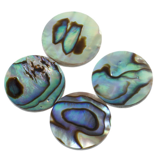 Paua mušle kabošon, 15x2 mm