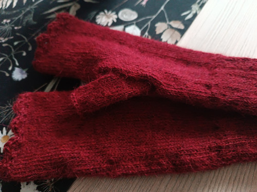 Vínová alpaca