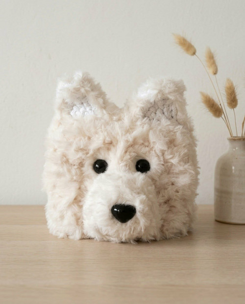 Samojed — foto 1