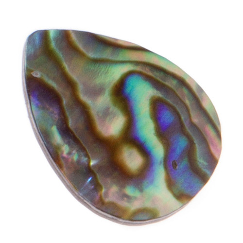 Paua mušle kabošon, slza 18x13 mm