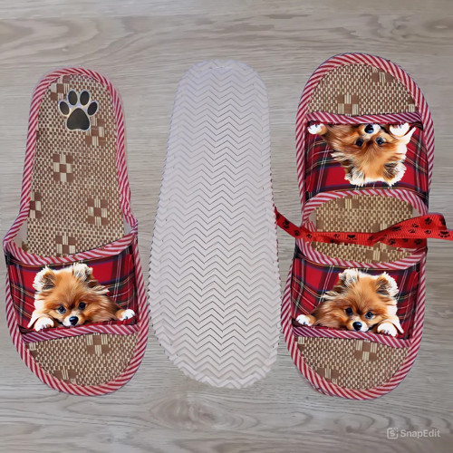 Špic Pomeranian - Domácí Pantofle