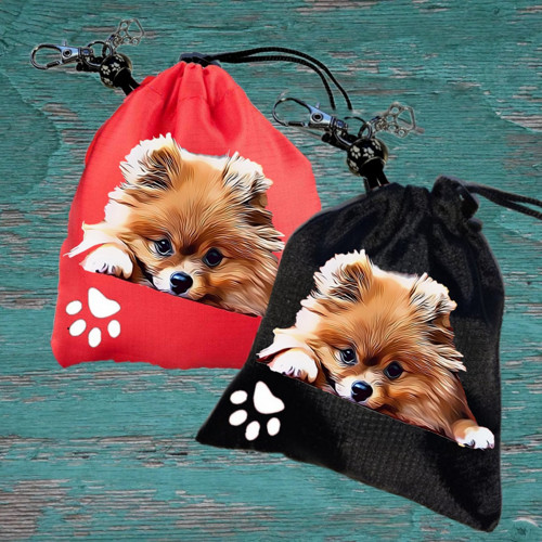 Špic Pomeranian Pamlsovník "Valentýn"