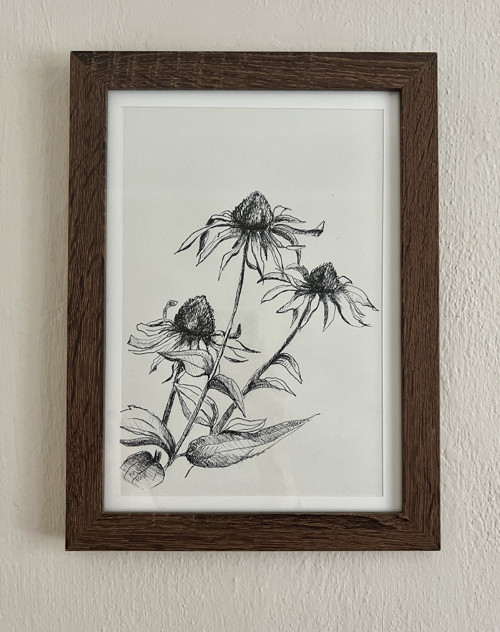 Botanická ilustrace květiny