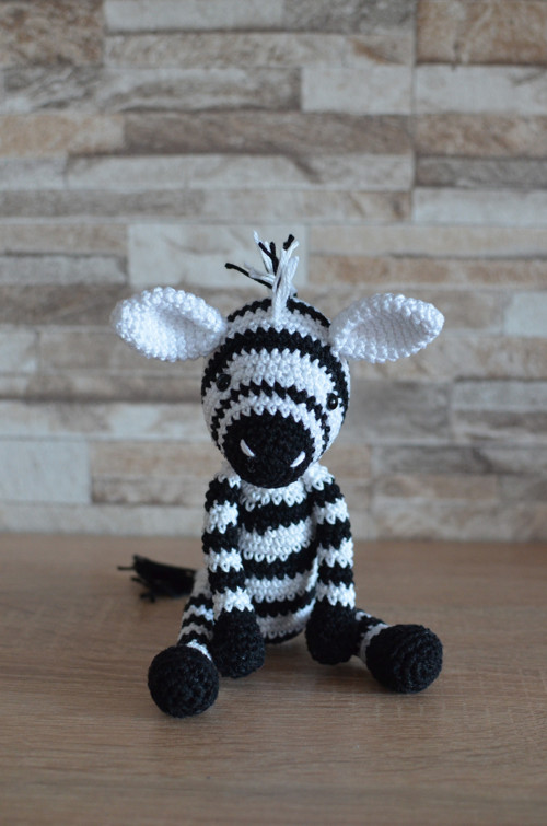 Háčkovaná zebra — foto 1
