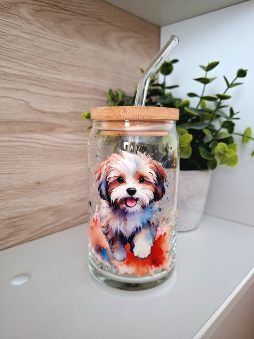 Sklenička maltipoo