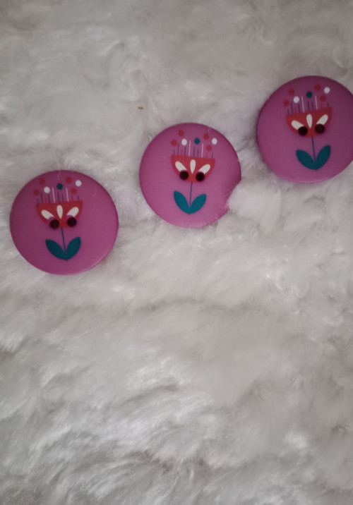 Lila fiala tulipana knoflík.