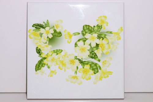 Ozdobná kachlička, primula