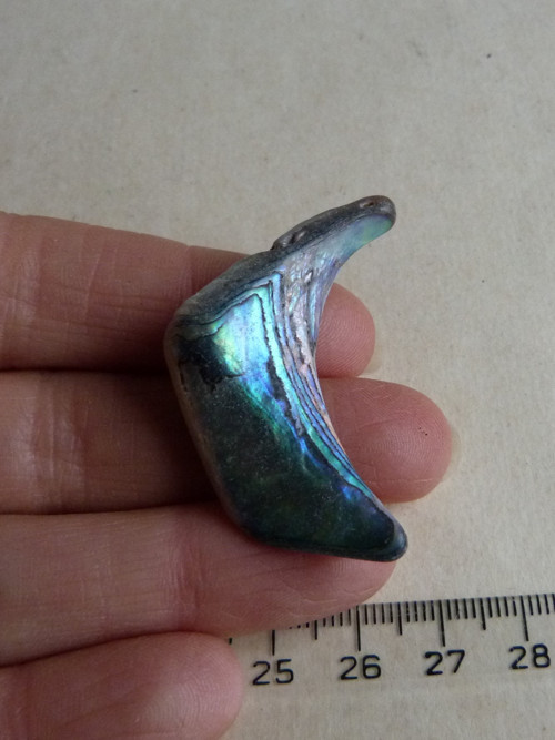 Perleť mušle Paua - 4,2 cm (P5) — foto 1