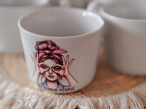 Sarkasmus v porcelánu "I see stupid people"