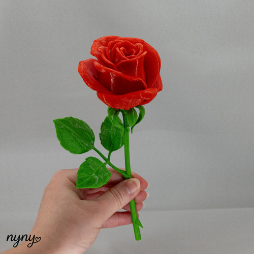 Růžička — foto 1