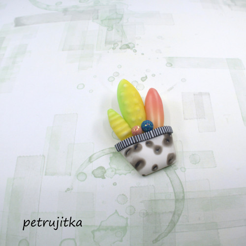 Kaktus I. — foto 1