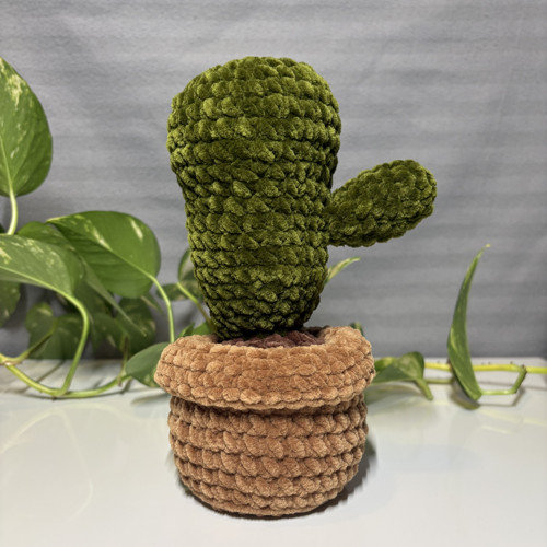 Háčkovaný kaktus