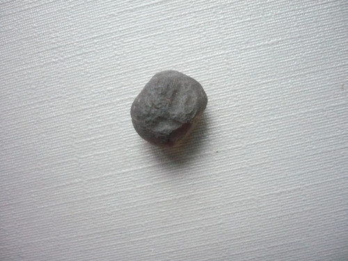 Surový - Saffordite cintamani 11 mm, č.17f