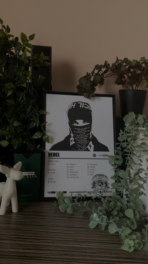 Moderní plakát - Esdeekid album Rebel