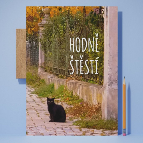 Černá kočka… pro štěstí – přání A6 bez textu