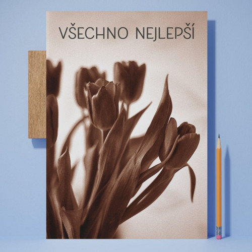 Retro tulipány – přání A6 bez textu