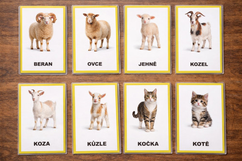 Kartičky zvířata 1 k tisku v PDF
