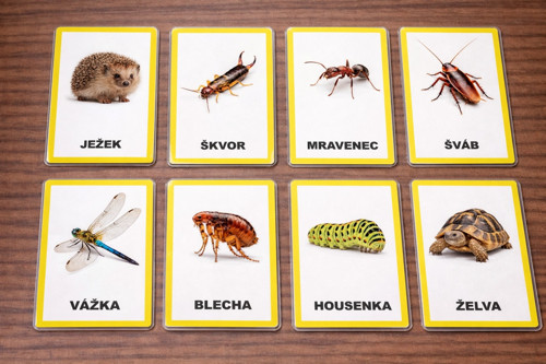 Kartičky se zvířaty 2 k tisku v PDF