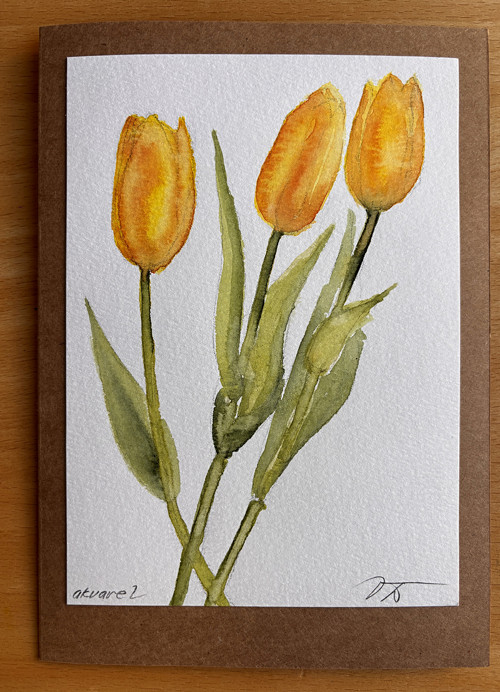 Obrázek/přáníčko Tulipány — foto 1