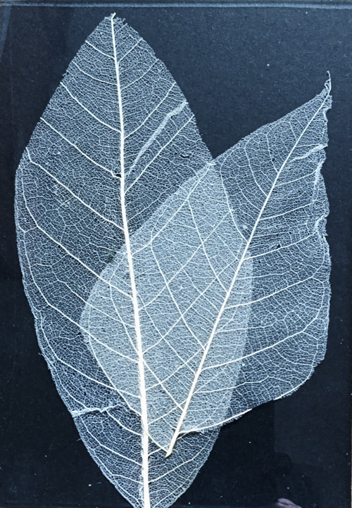 Minimalismus
