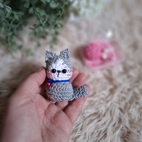 Sada s kočičkou Šedkou — foto 1