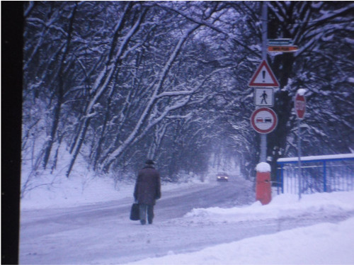 Zasněžená zima : Varianty. Fotografie