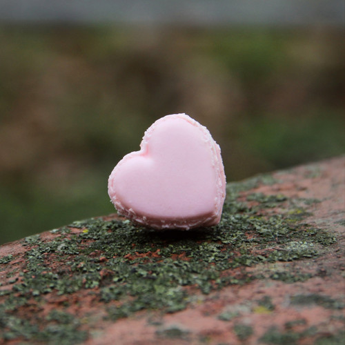 Srdíčková makronka (pin)
