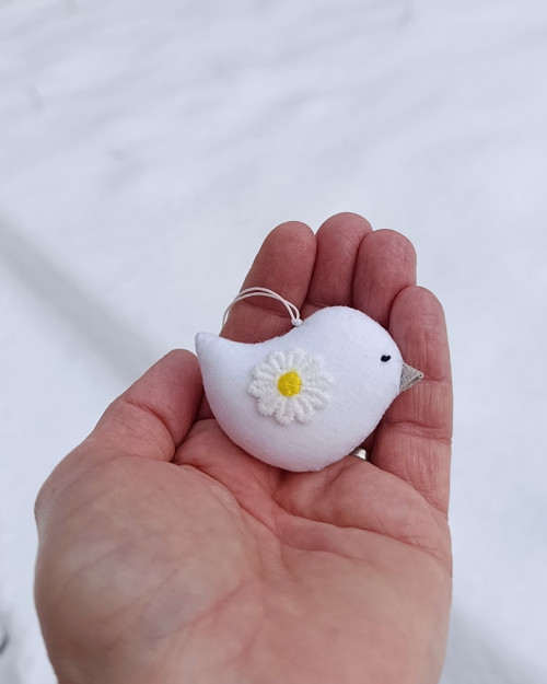 Daisyptáček malý
