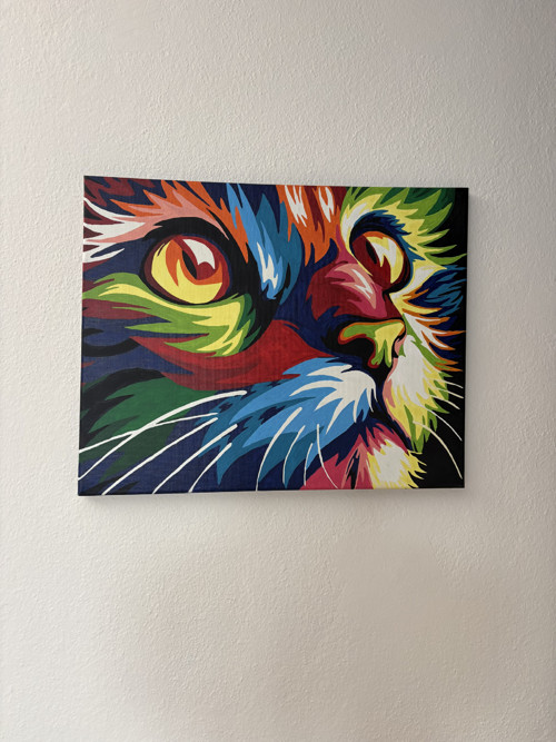 Barevná kočka – 50 × 40 cm