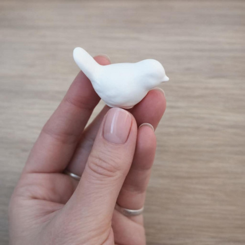 Mini ptáček