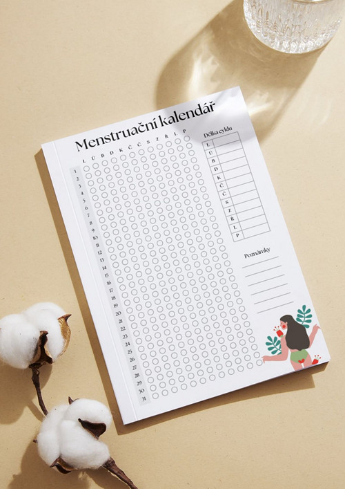 Menstruační kalendář – roční přehled PDF
