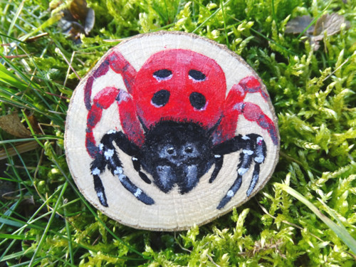 Magnetka Su z Moravy