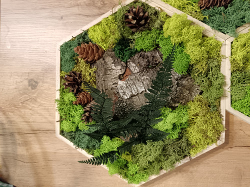Mechový obraz hexagon 31cm