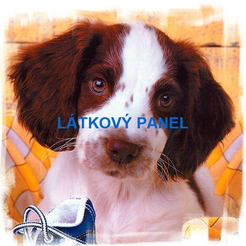 Bavlněný panel 45x45 cm - skladem