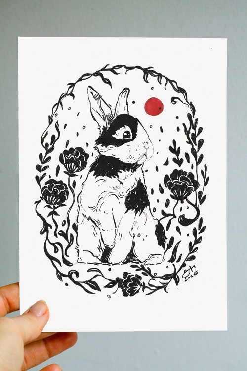 Rabbit
