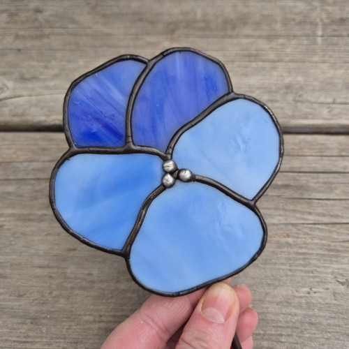 Maceška kultivar Blue II., dekorace, zápich