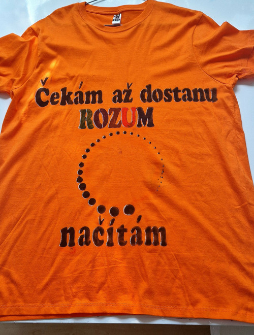 Unisex tričko vel.L 100% bavlna s nápisem