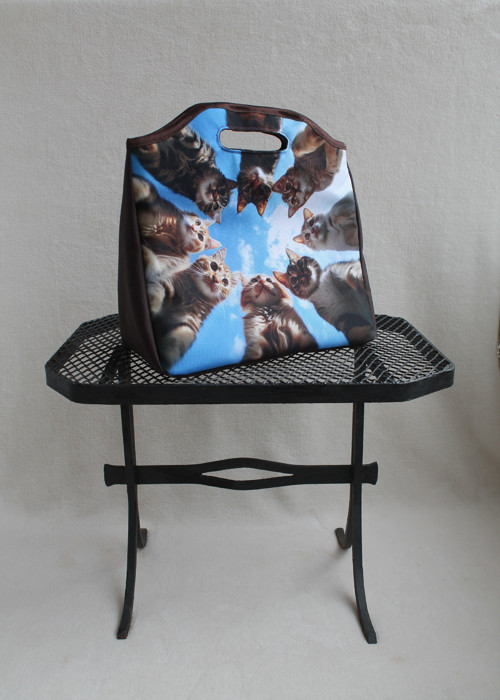 Termotaška s motivem kočičí sněm 29x29x13