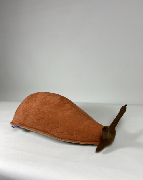 Slimák(Limax) — foto 1