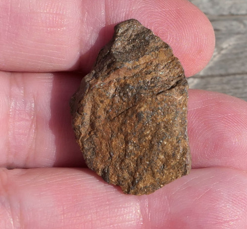 Surový bronzit (28 mm) V2636