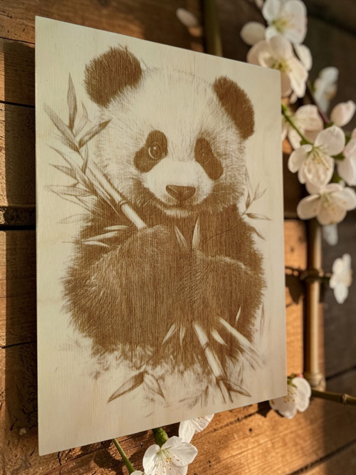 Panda :), Dřevěný vypalovaný obraz + stojan