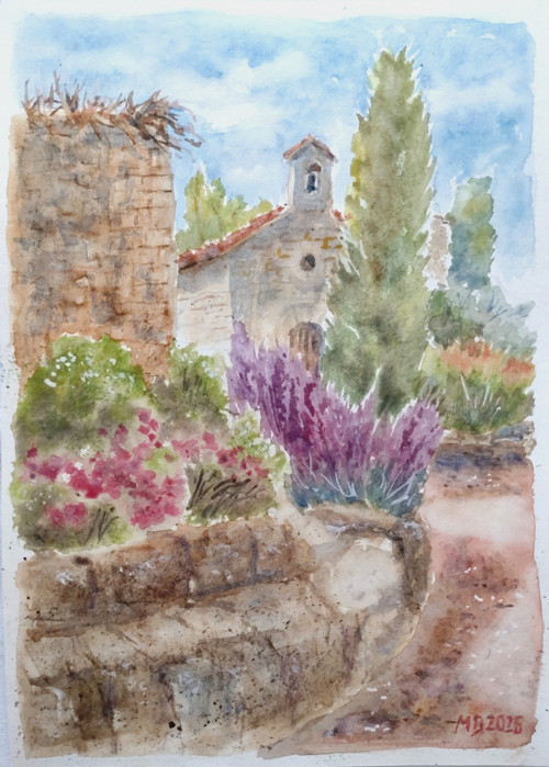 Rozkvetlá Provence