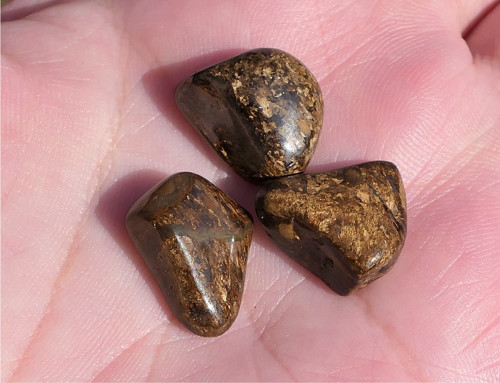 3x bronzit V2691 — foto 1