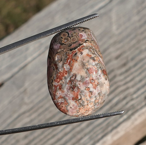 Jaspis leopardí V2694 — foto 1