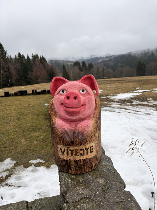 Vyřezávané Prasátko VÍTEJTE